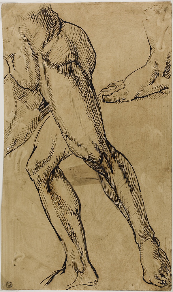 Legs and Feet of Male Nude